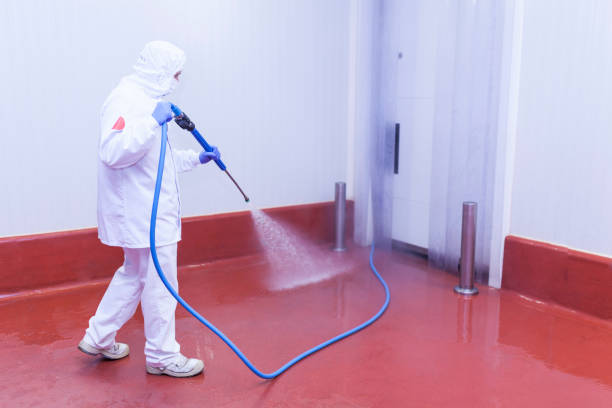 Best Rust Removal  in Old Orchard, PA